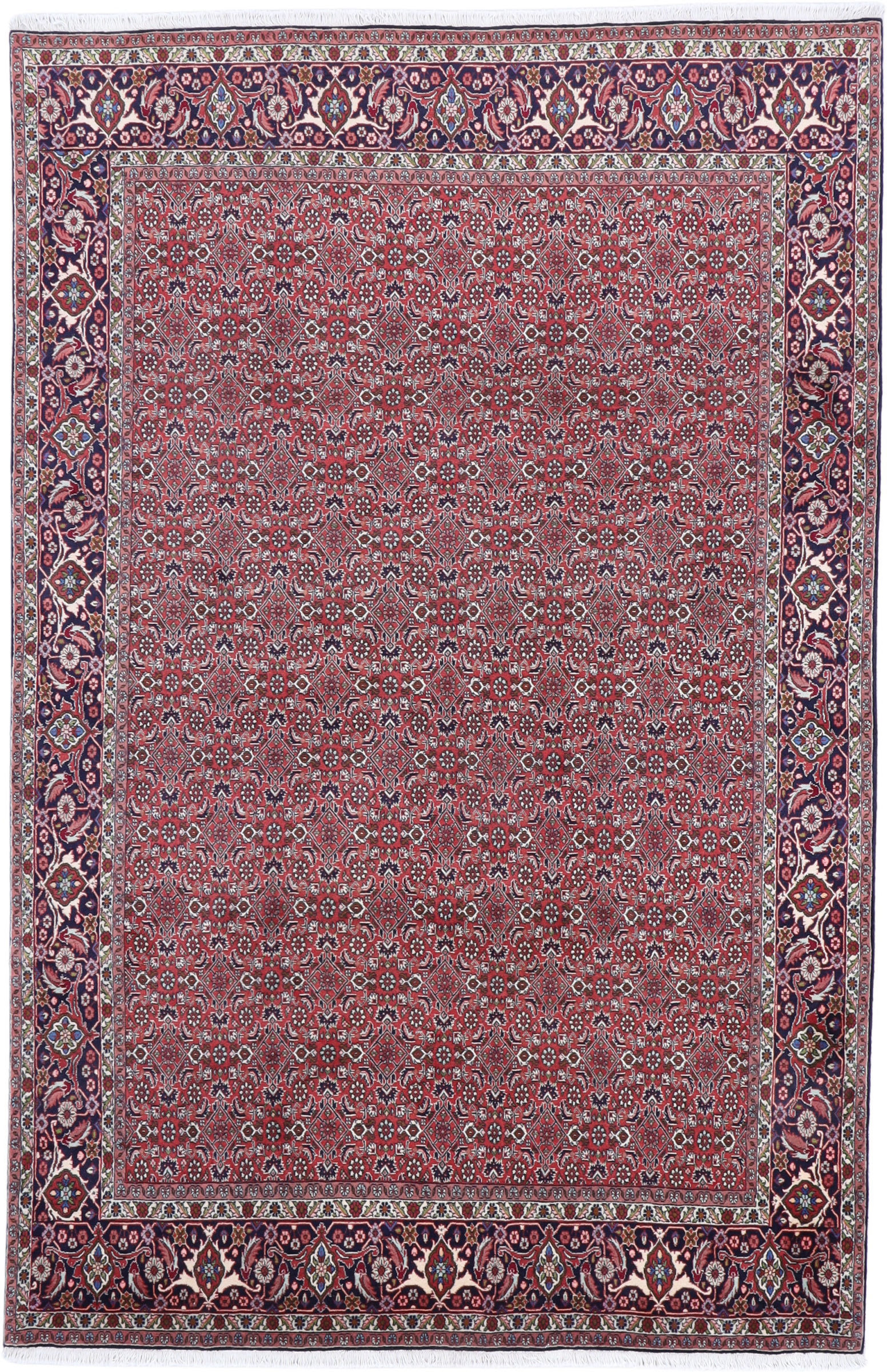 Bidjar Antik - Bidjar 200 x 305 cm