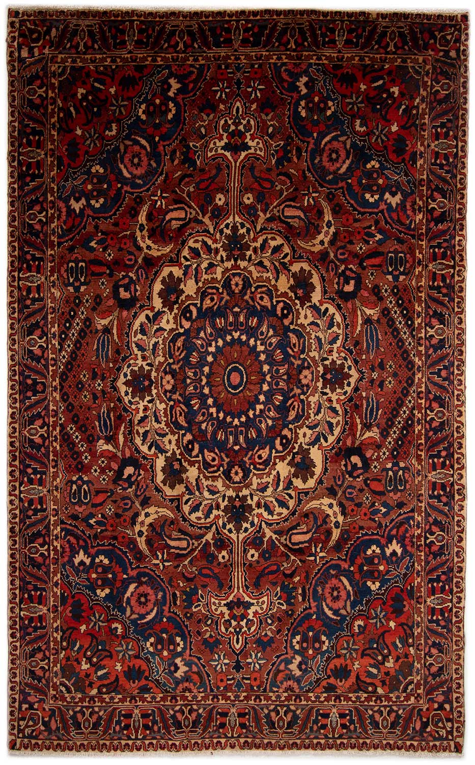Bachtiar Teppiche - Bachtiar 225 x 341 cm