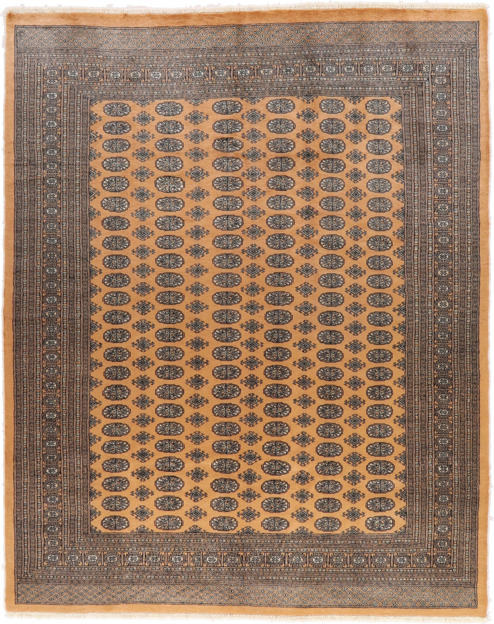 Buchara Tepper - Bokhara 246 x 307 cm