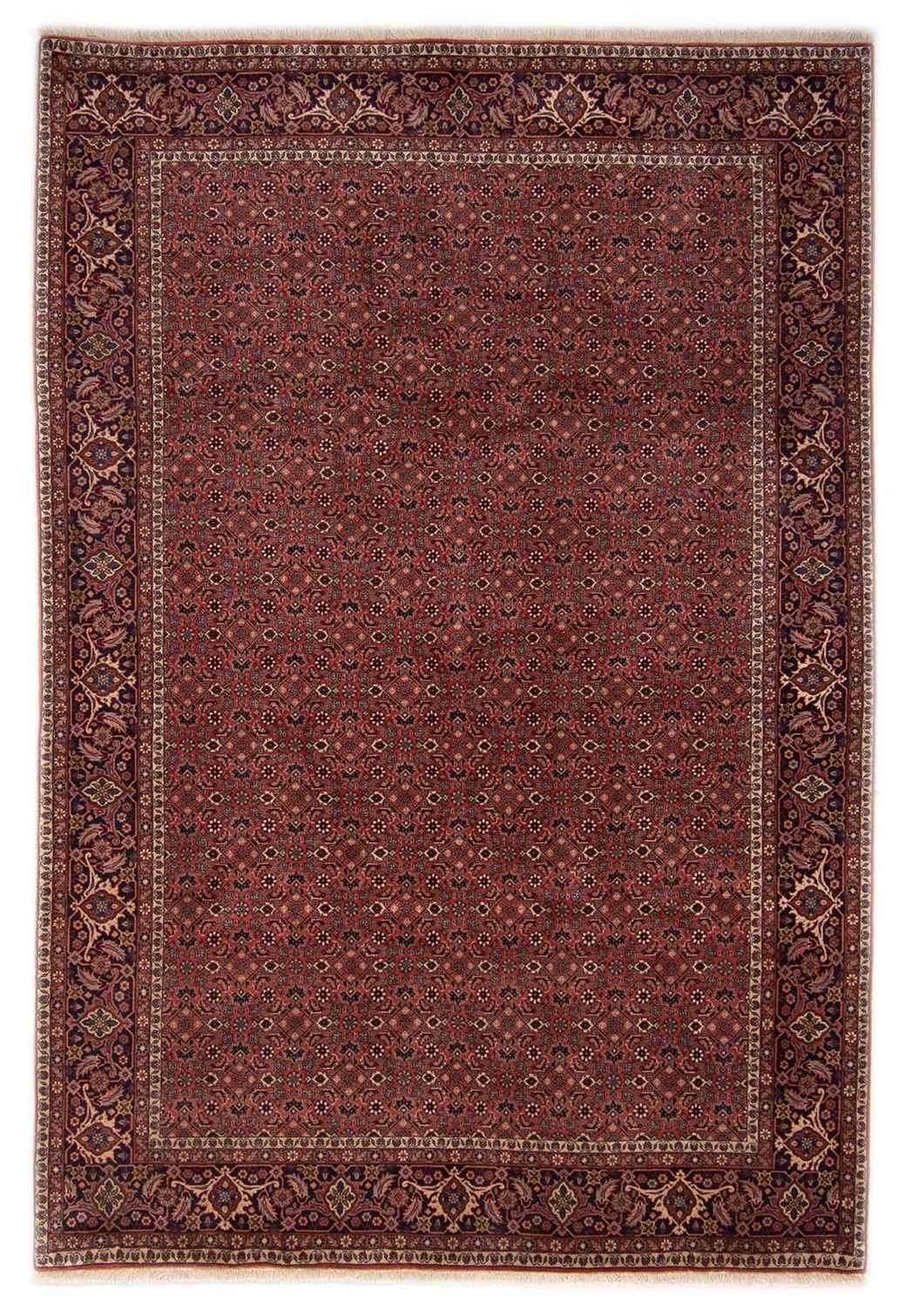 Bidjar 200x300 - Bidjar 200 x 293 cm