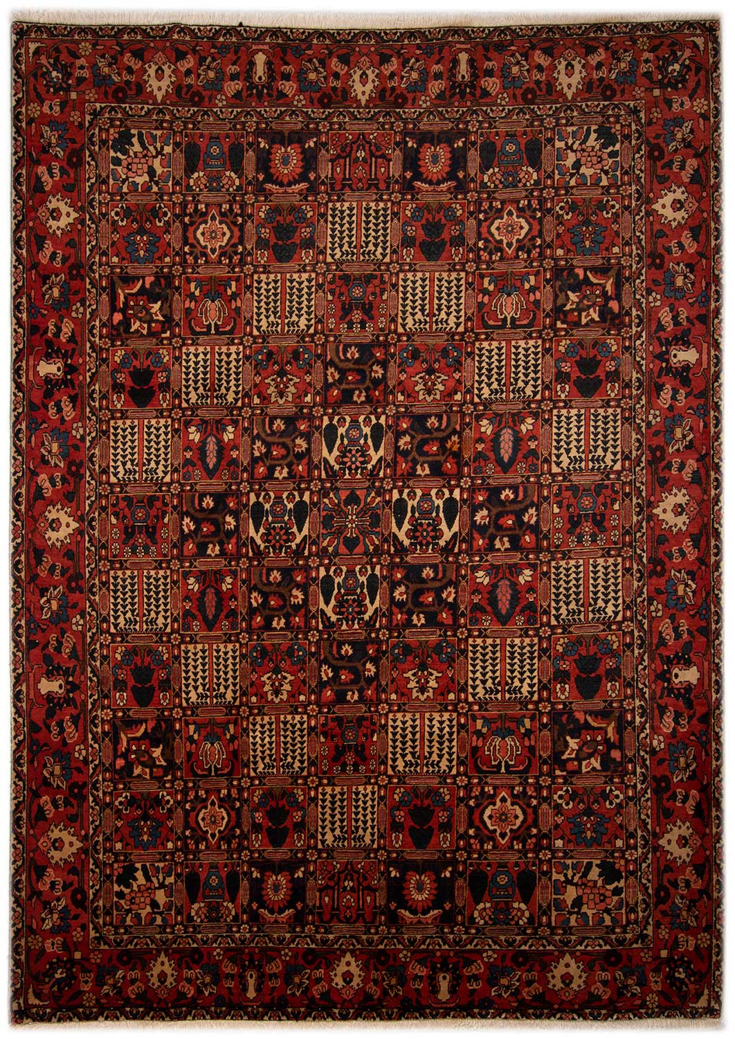 Bachtiar Teppiche - Bachtiar 258 x 359 cm