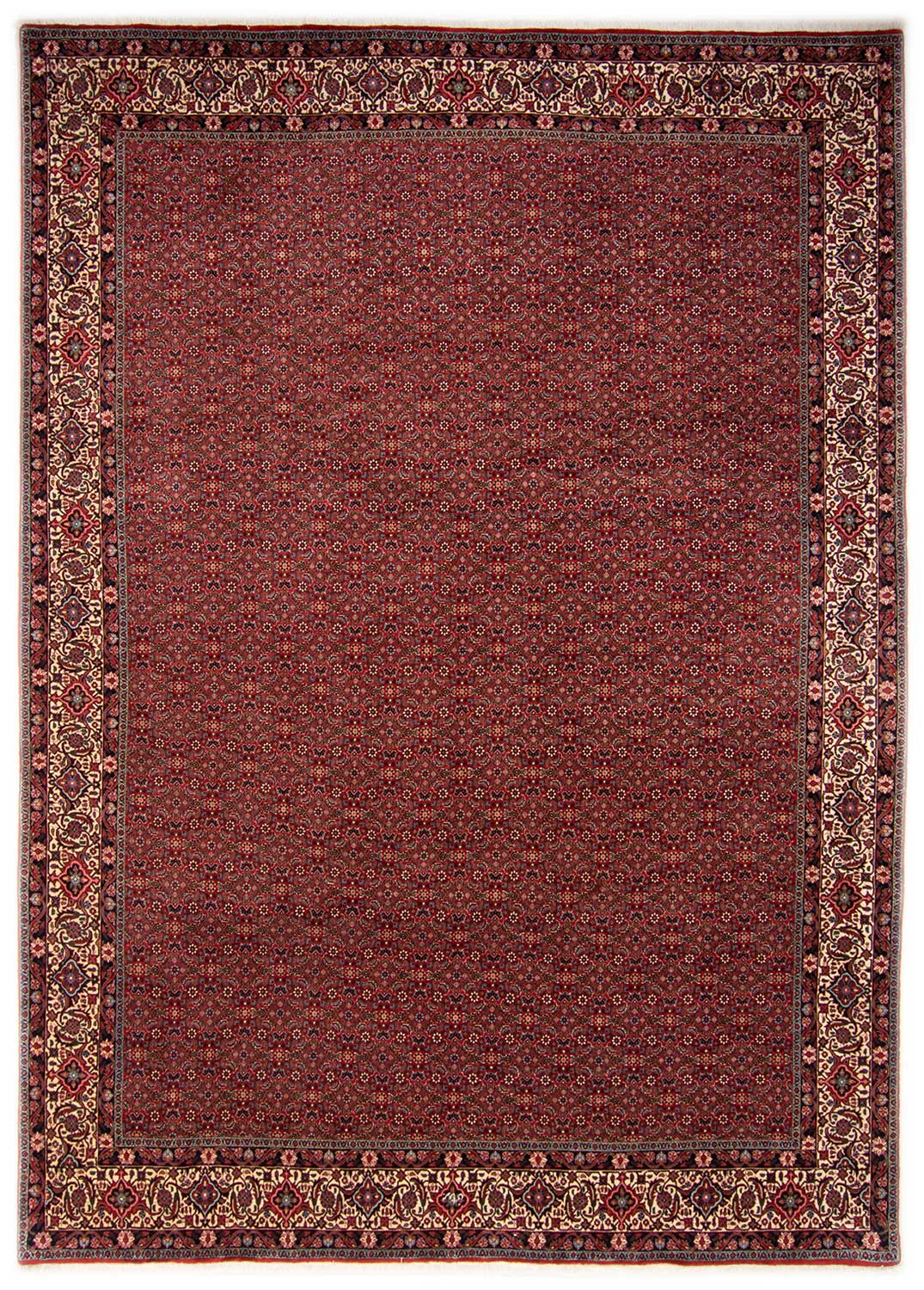 Tappeti Bidjar - Bidjar 249 x 339 cm