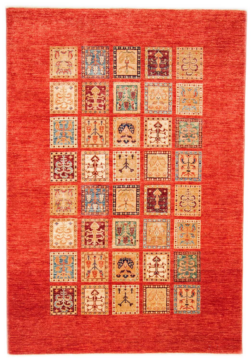 Ziegler Teppiche Pakistan - Ziegler 171 x 243 cm