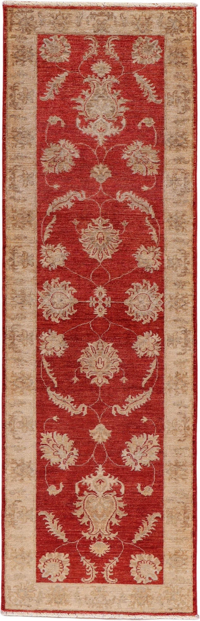 Dywan 80x250 - Ziegler 77 x 239 cm