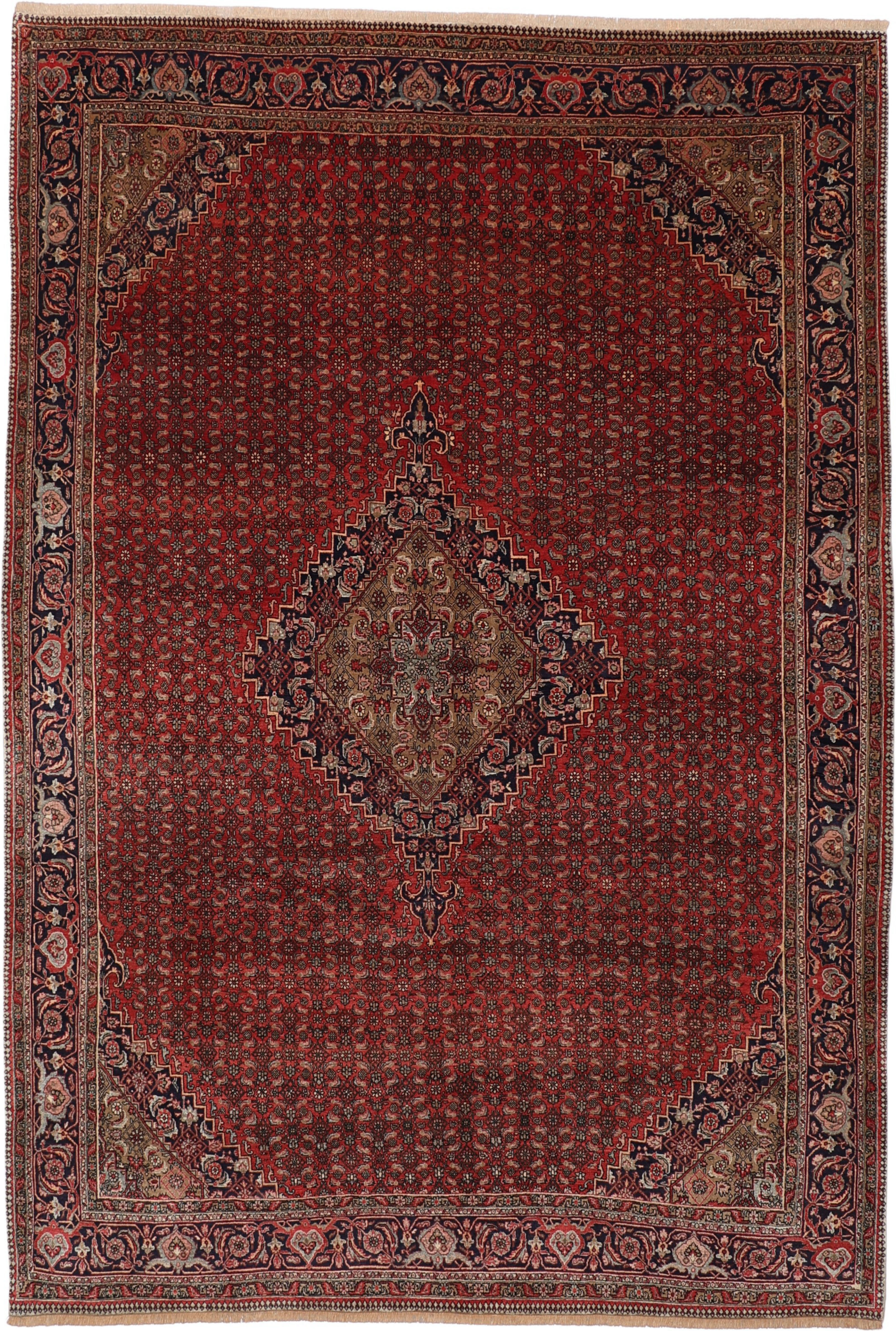 Bidjar Antik - Bidjar 228 x 332 cm