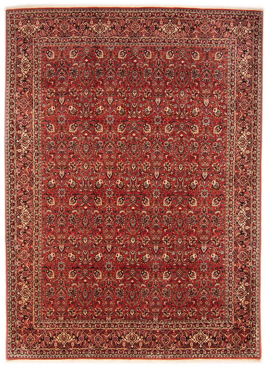 Tappeti Bidjar - Bidjar 253 x 348 cm