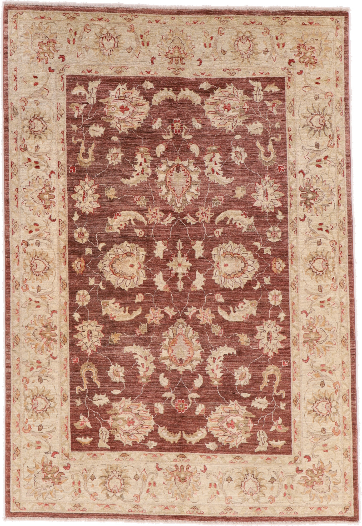 Ziegler Teppiche Pakistan - Ziegler 174 x 247 cm