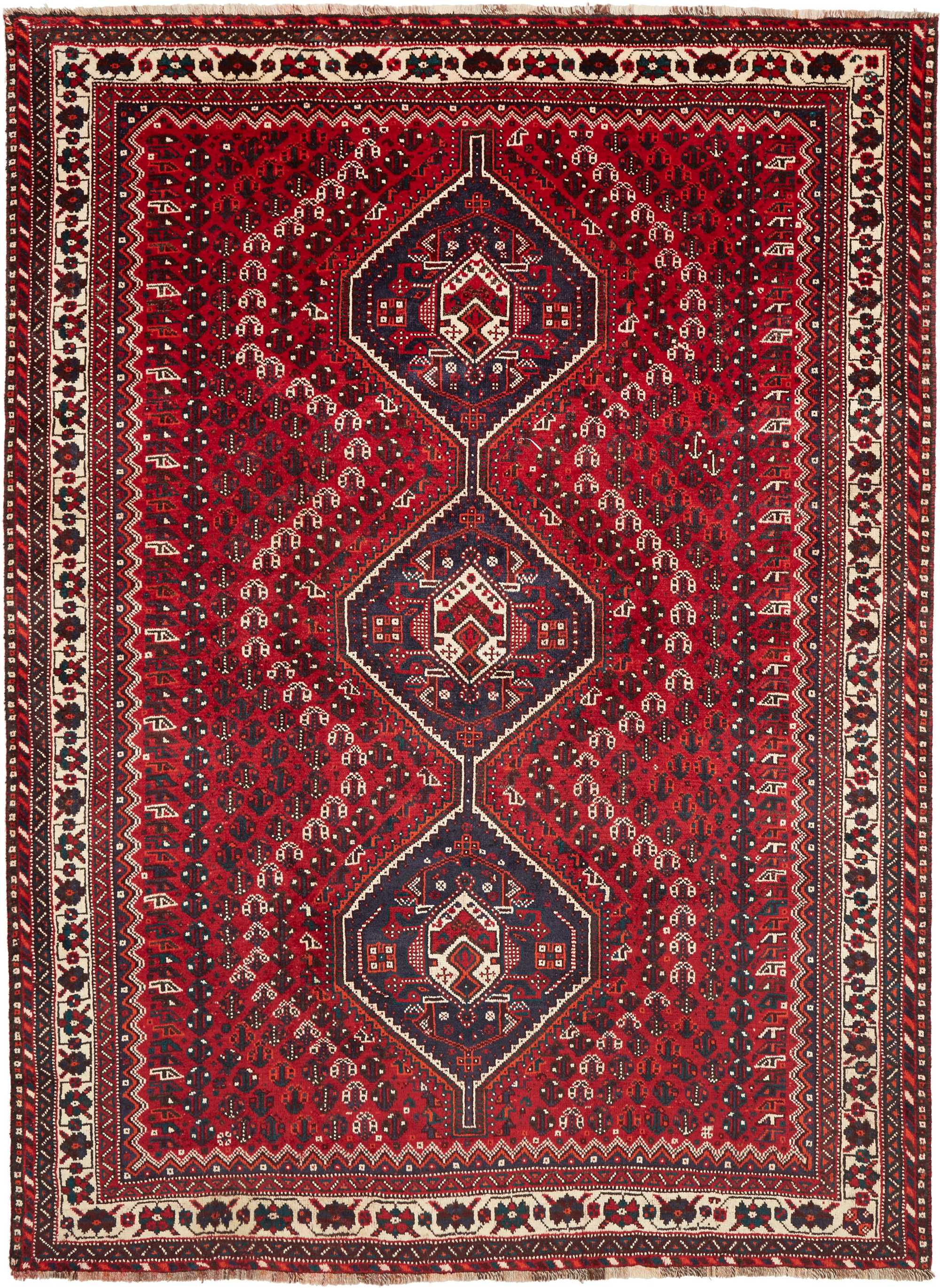 Dywany Shiraz - Shiraz 221 x 302 cm