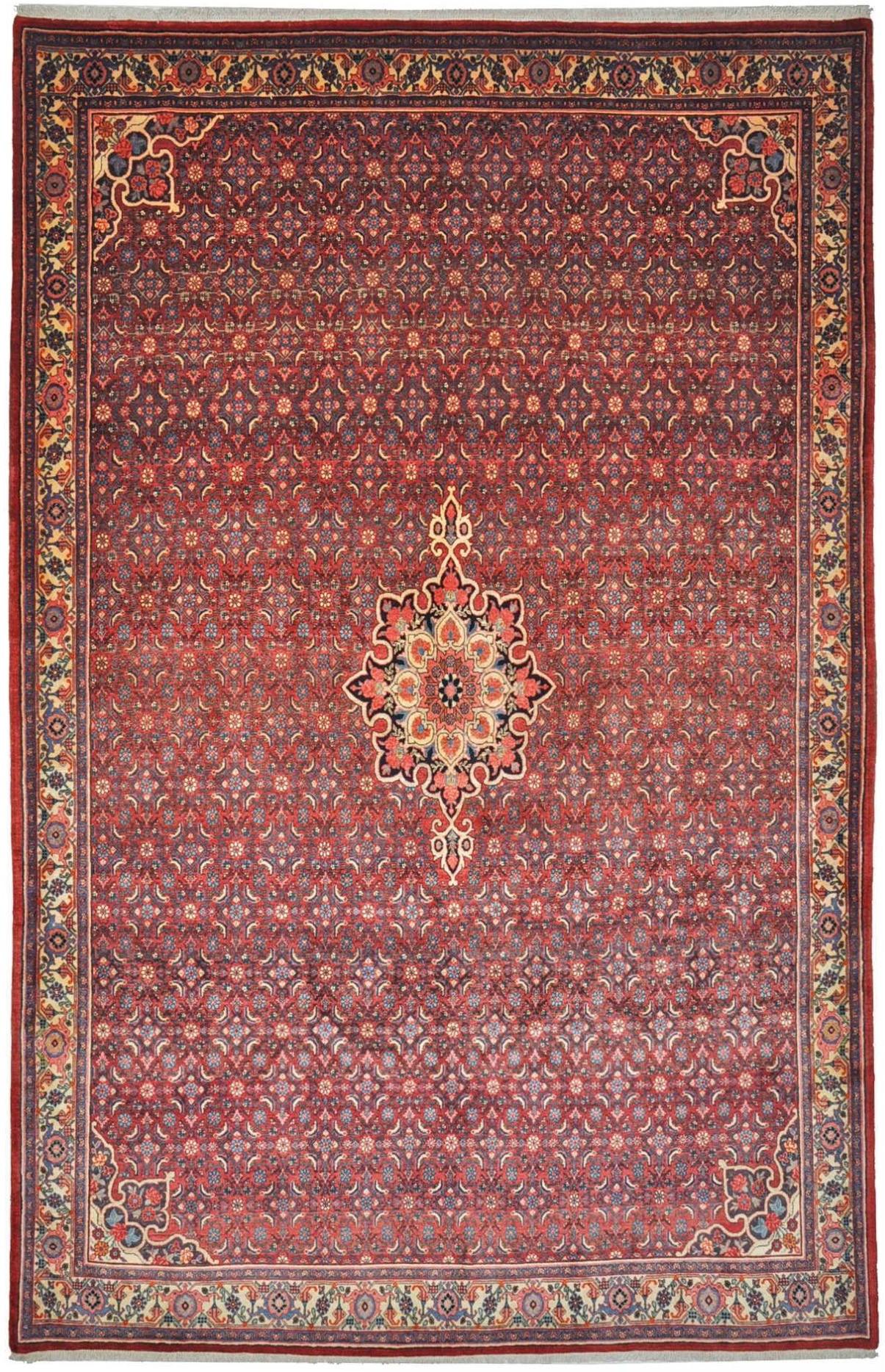 Koberce Bidjar - Bidjar 211 x 325 cm