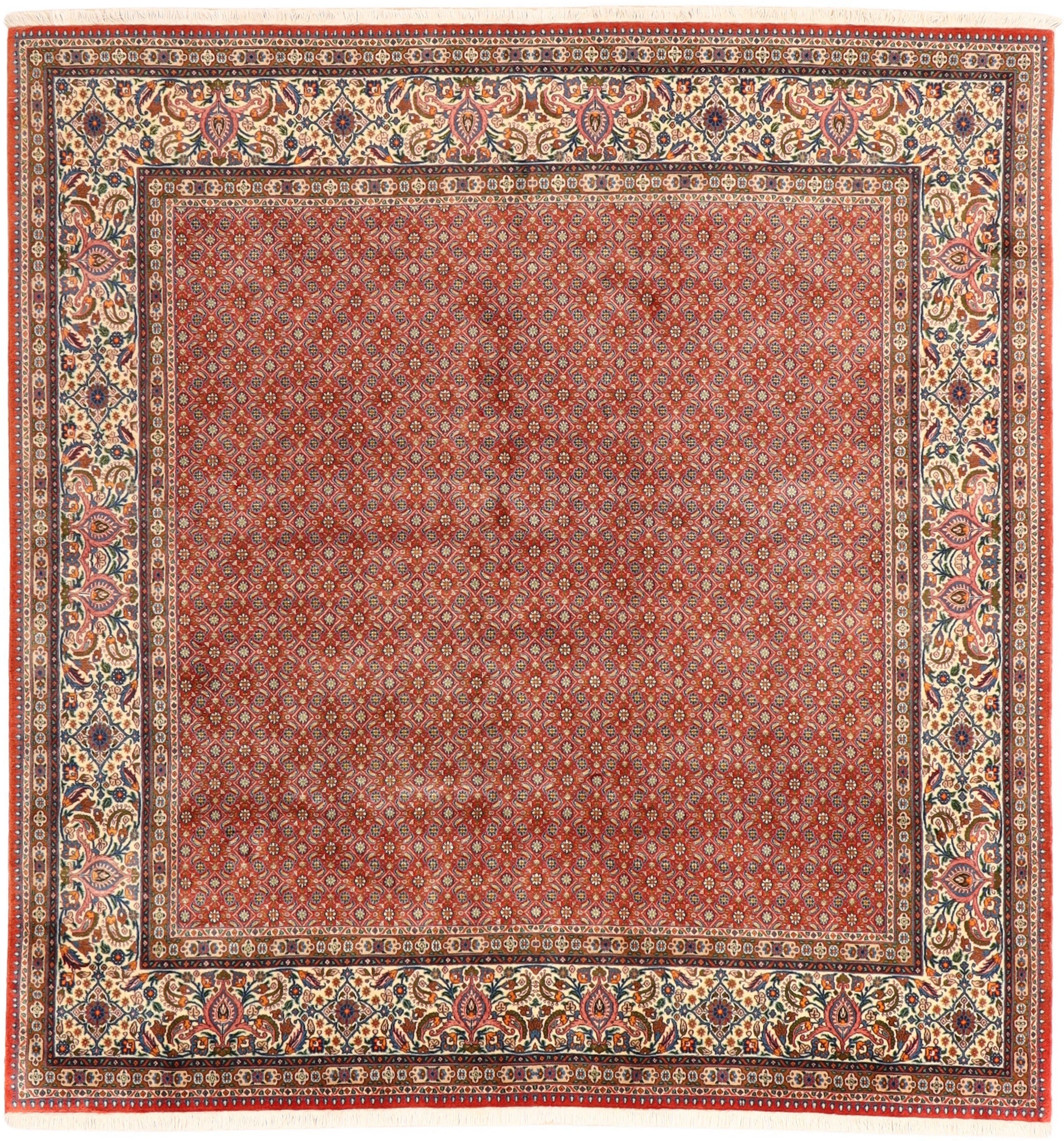 Teppich 240 x 250