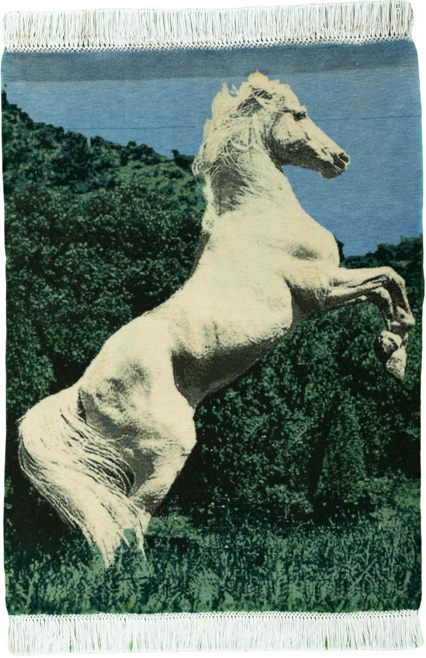 Tabriz Tapijten - Tabriz 60 x 81 cm