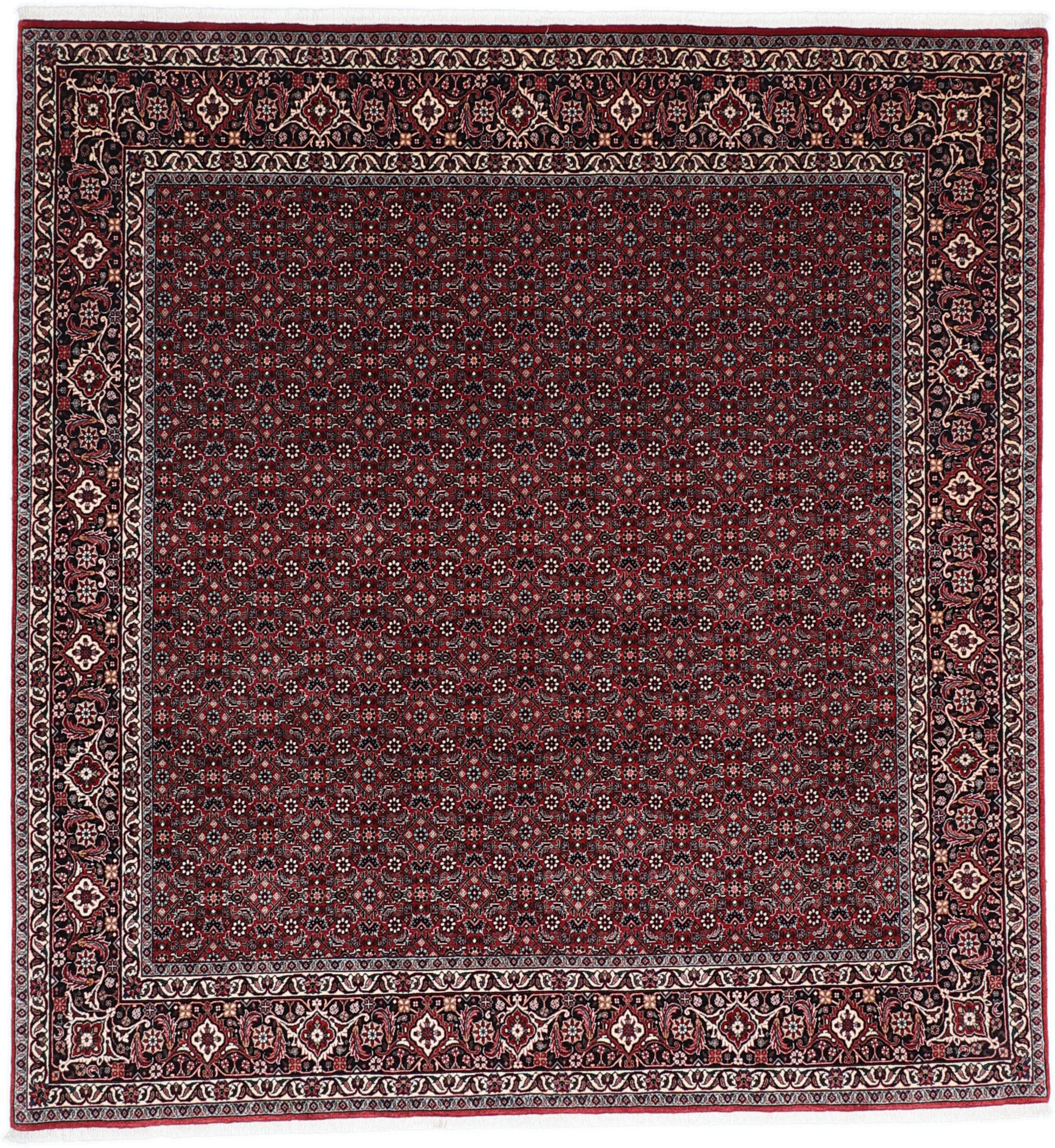 Teppich Bidjar 200 x 220