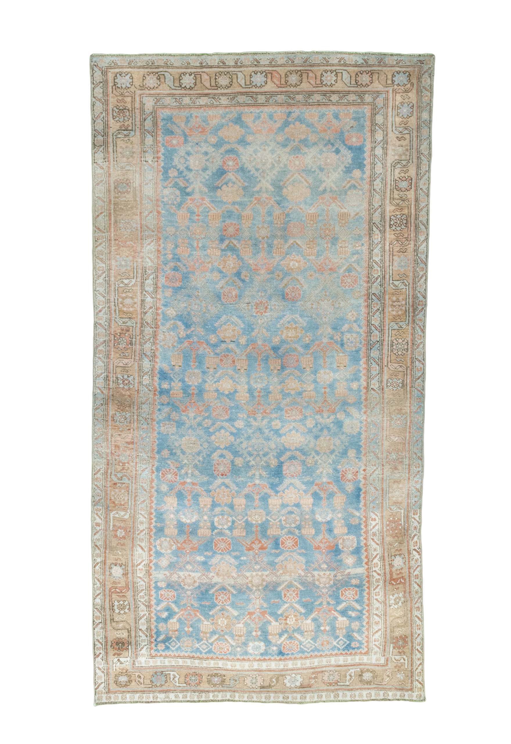 Teppich 120x240 - Kurdi 123 x 240 cm