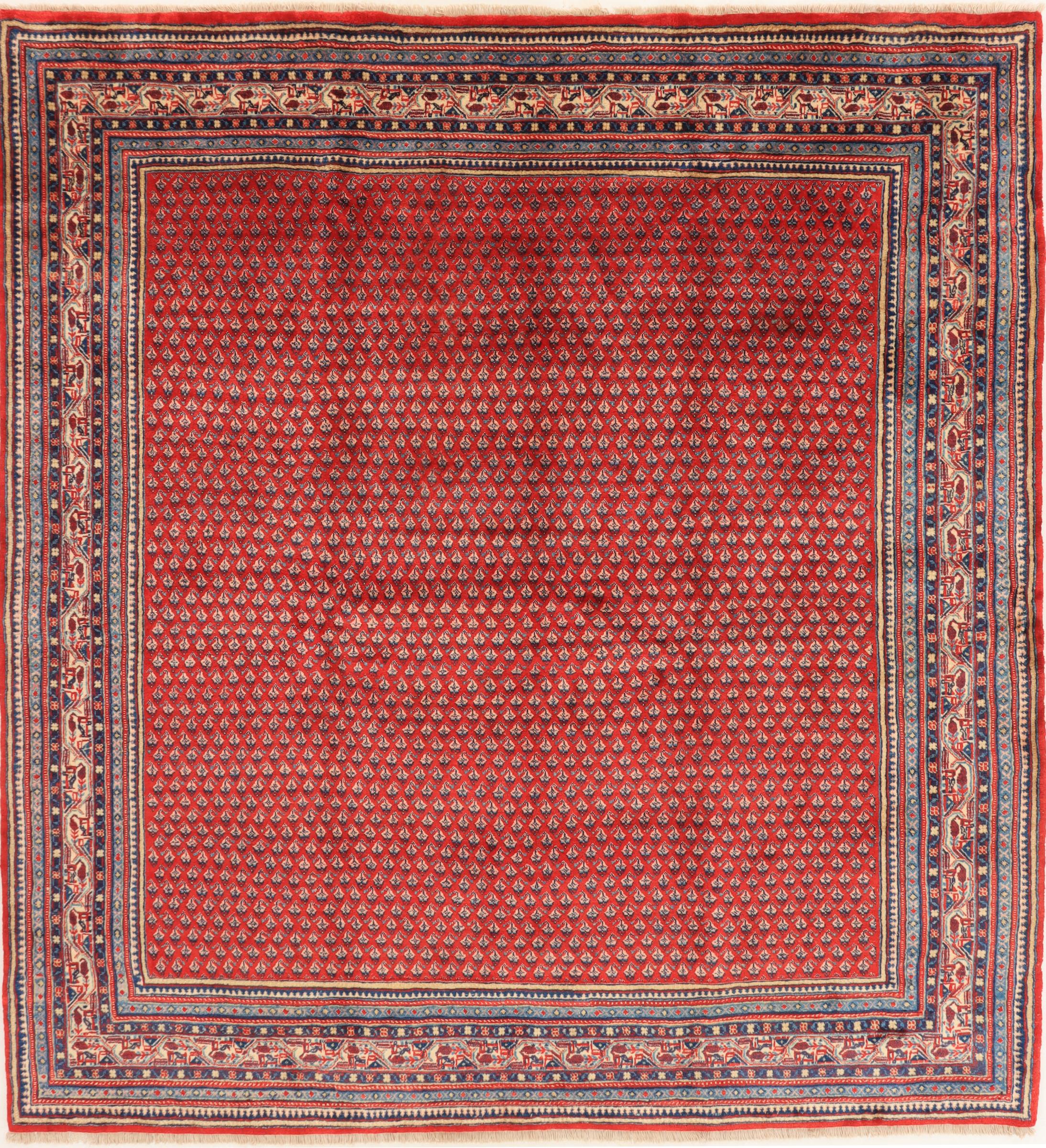 Kvadratisk Teppe 230x230 - Mir 230 x 245 cm