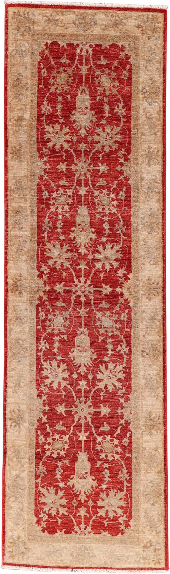 Dywan 80x250 - Ziegler 75 x 252 cm