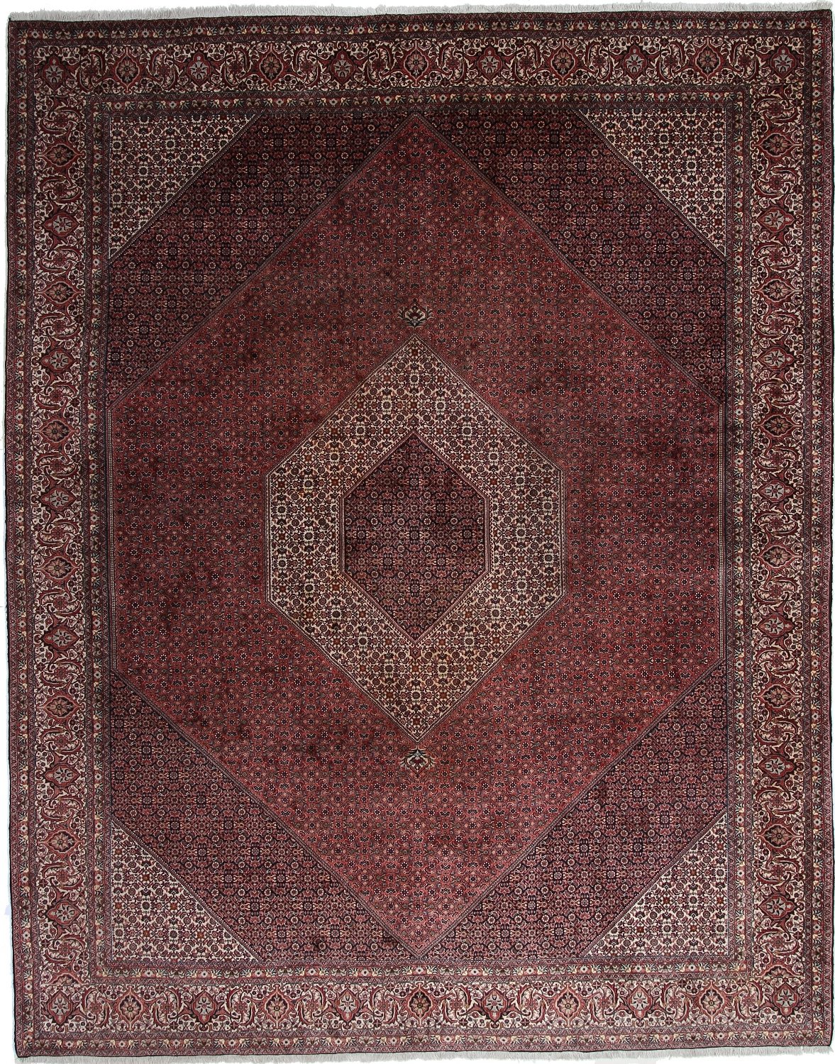 Bidjar Tekab - Bidjar Tekab 310 x 391 cm