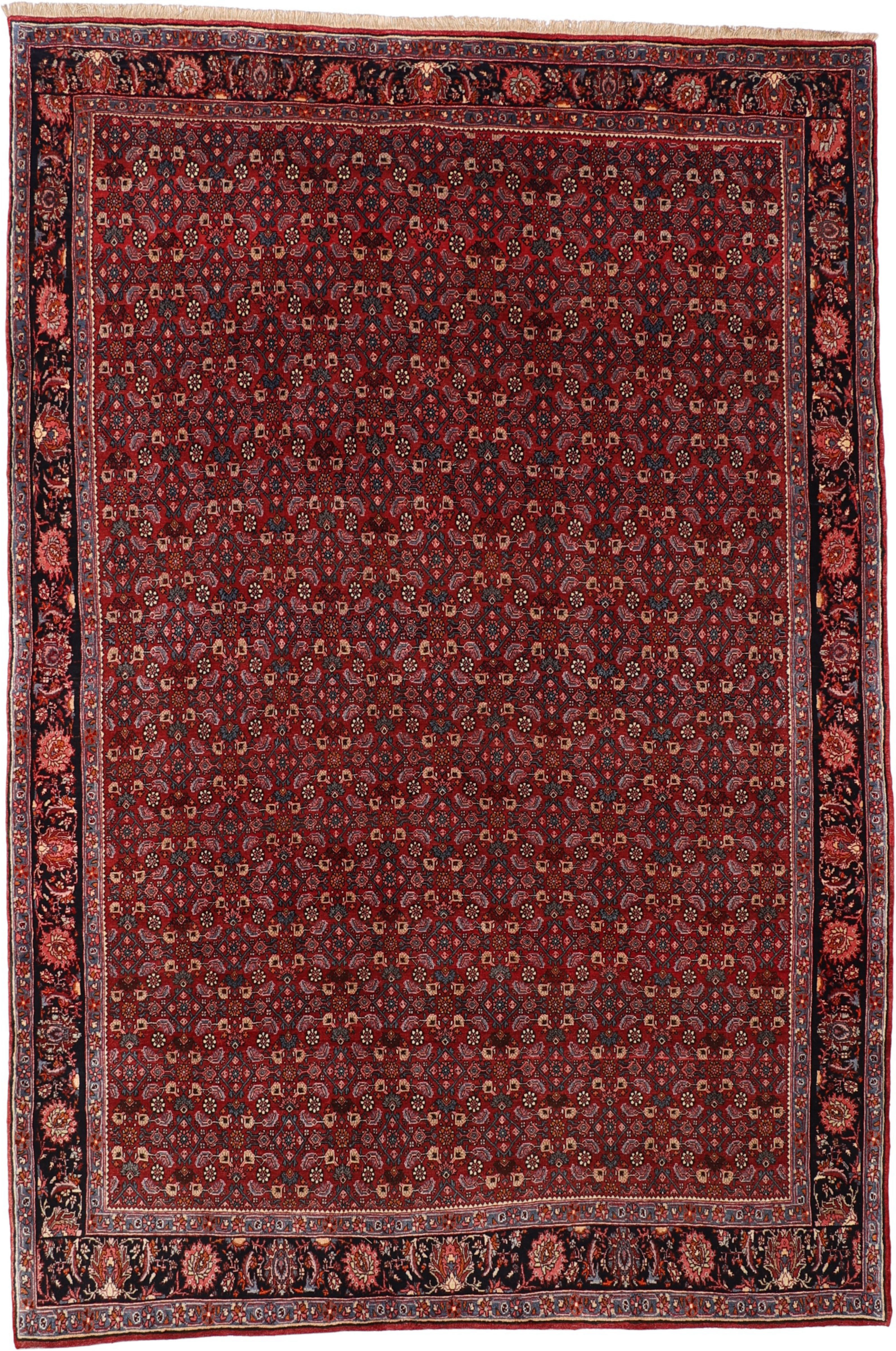 Bidjar Antik - Bidjar 225 x 335 cm