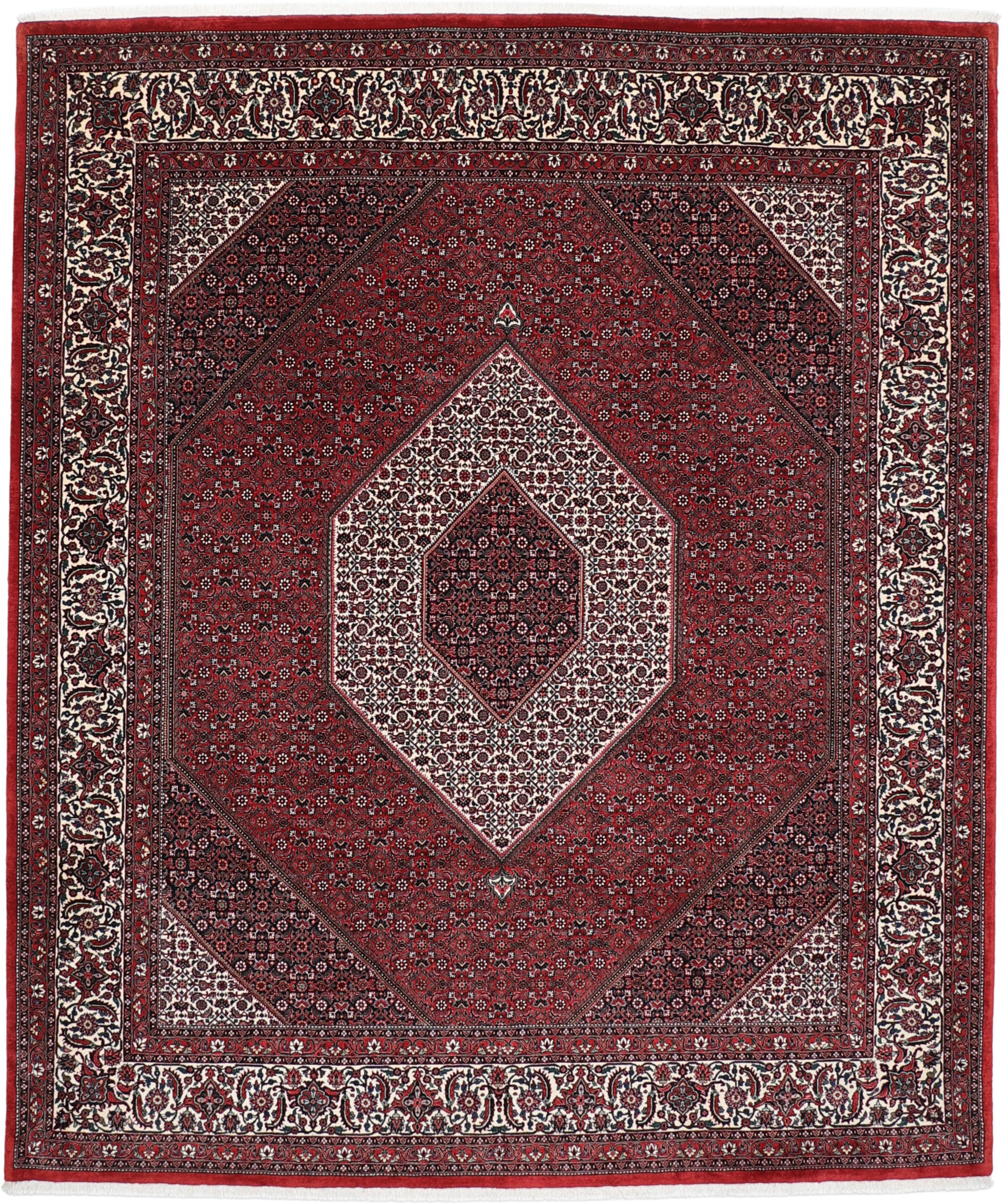 Orientteppiche 250x300 - Bidjar silk 255 x 305 cm