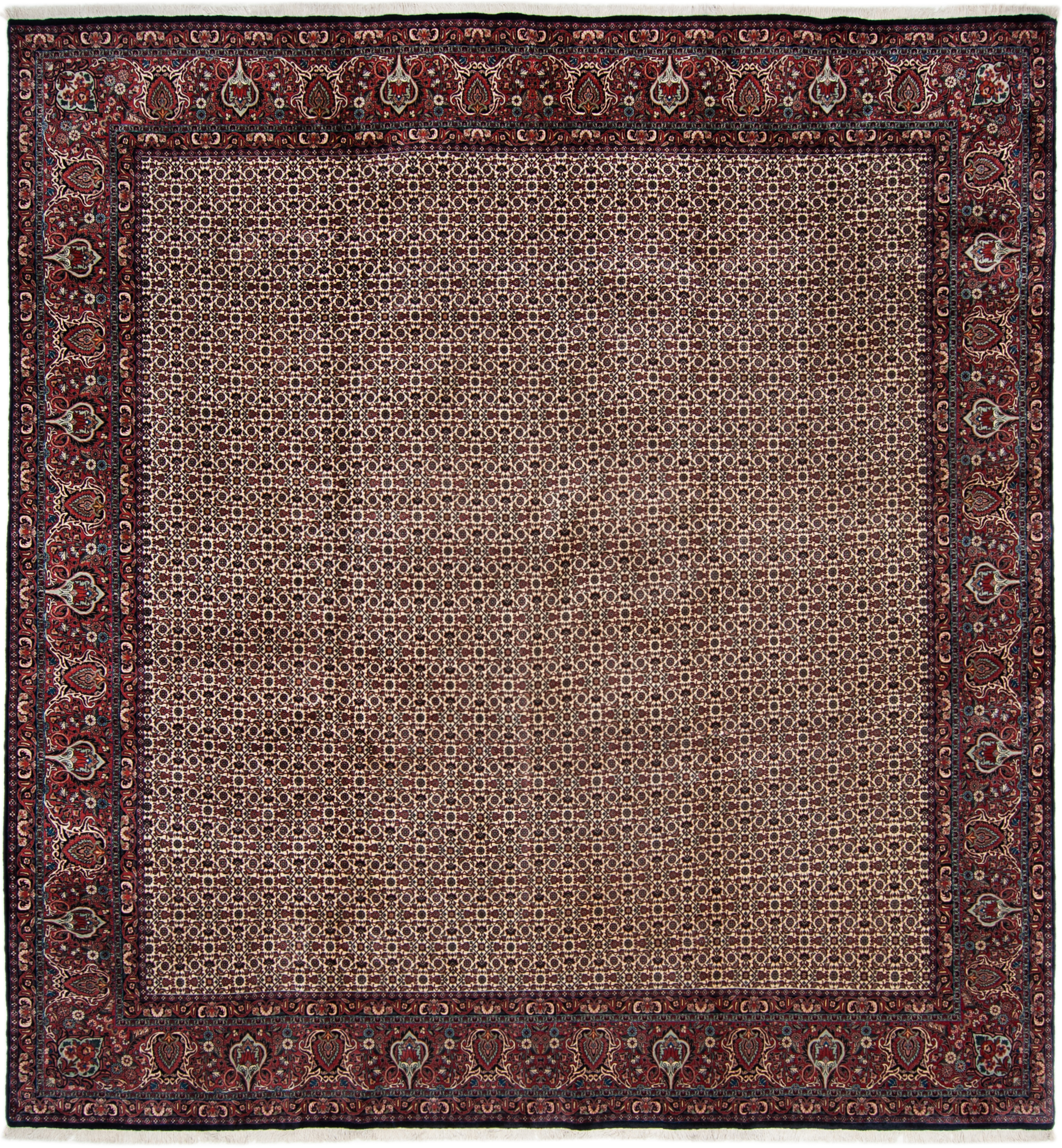 Bidjar Teppich 350 x 370