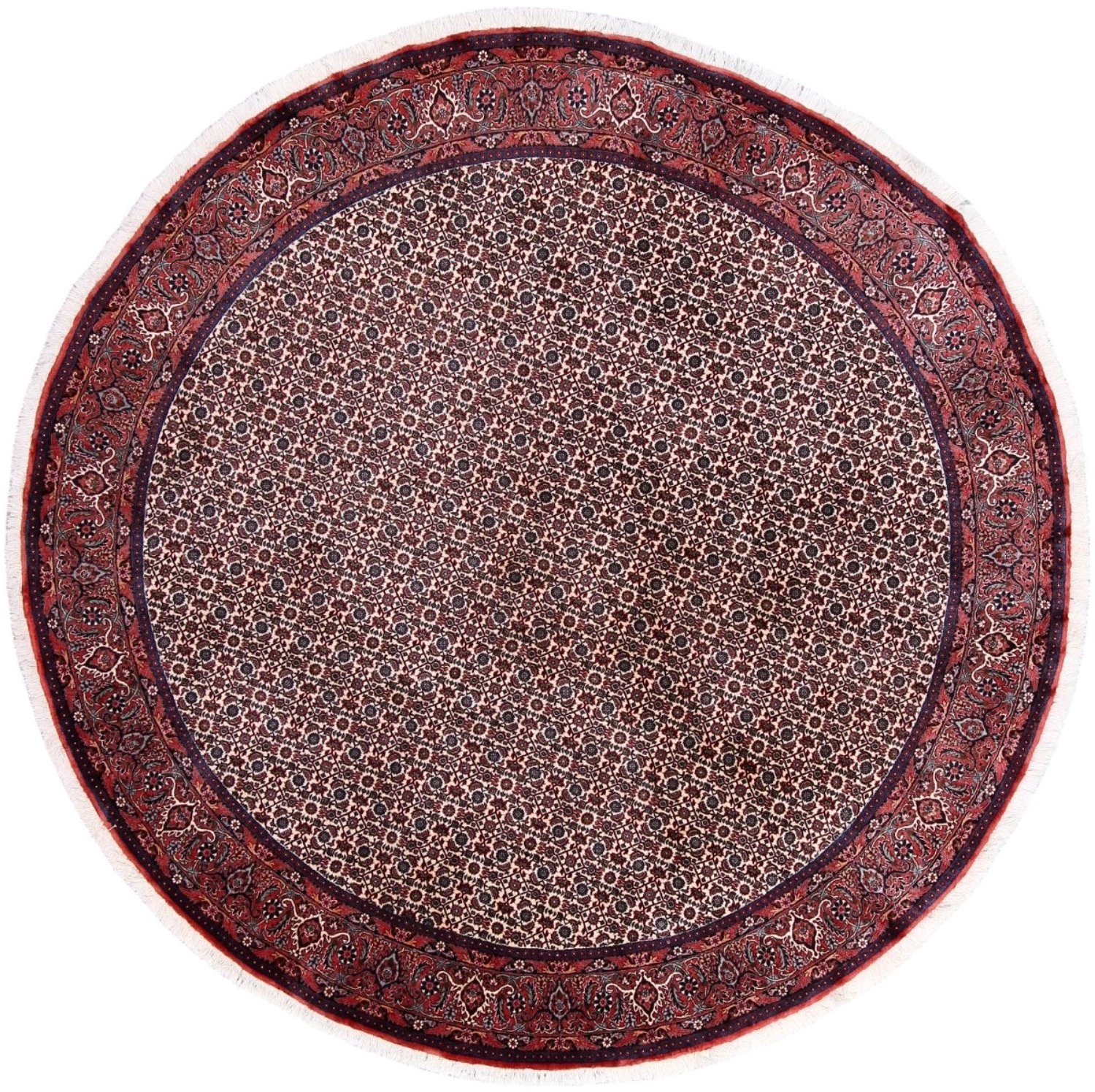 Kvadratisk Teppe 230x230 - Bidjar 245 x 245 cm