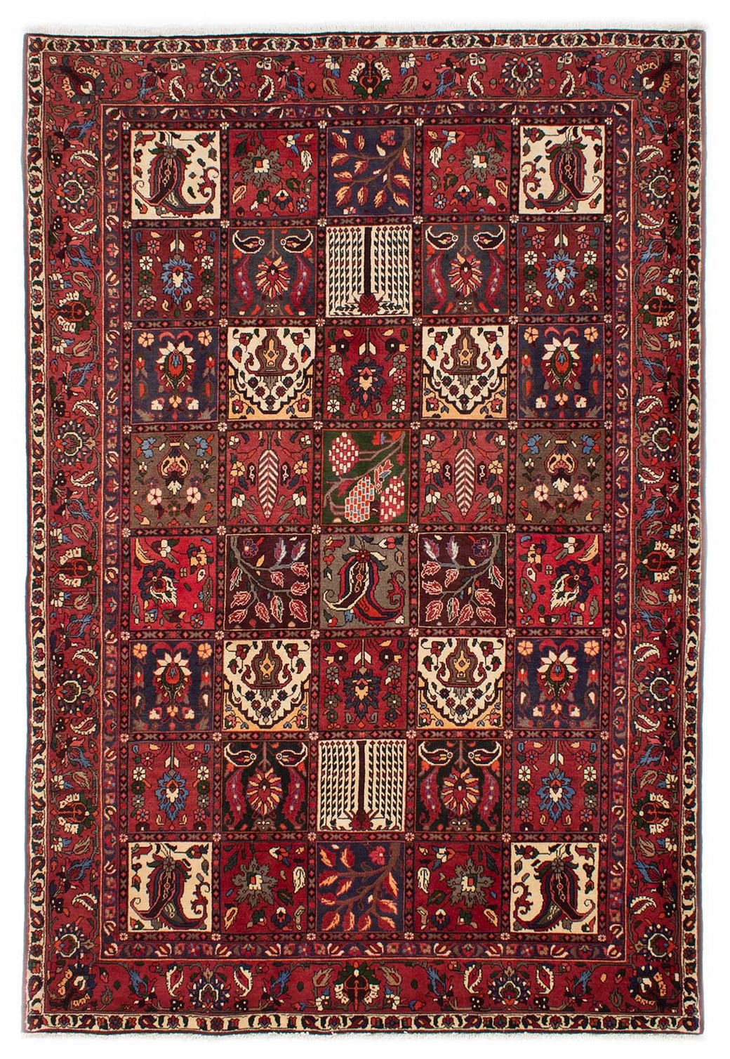 Bakhtiar Rugs - Bakhtiar 210 x 310 cm