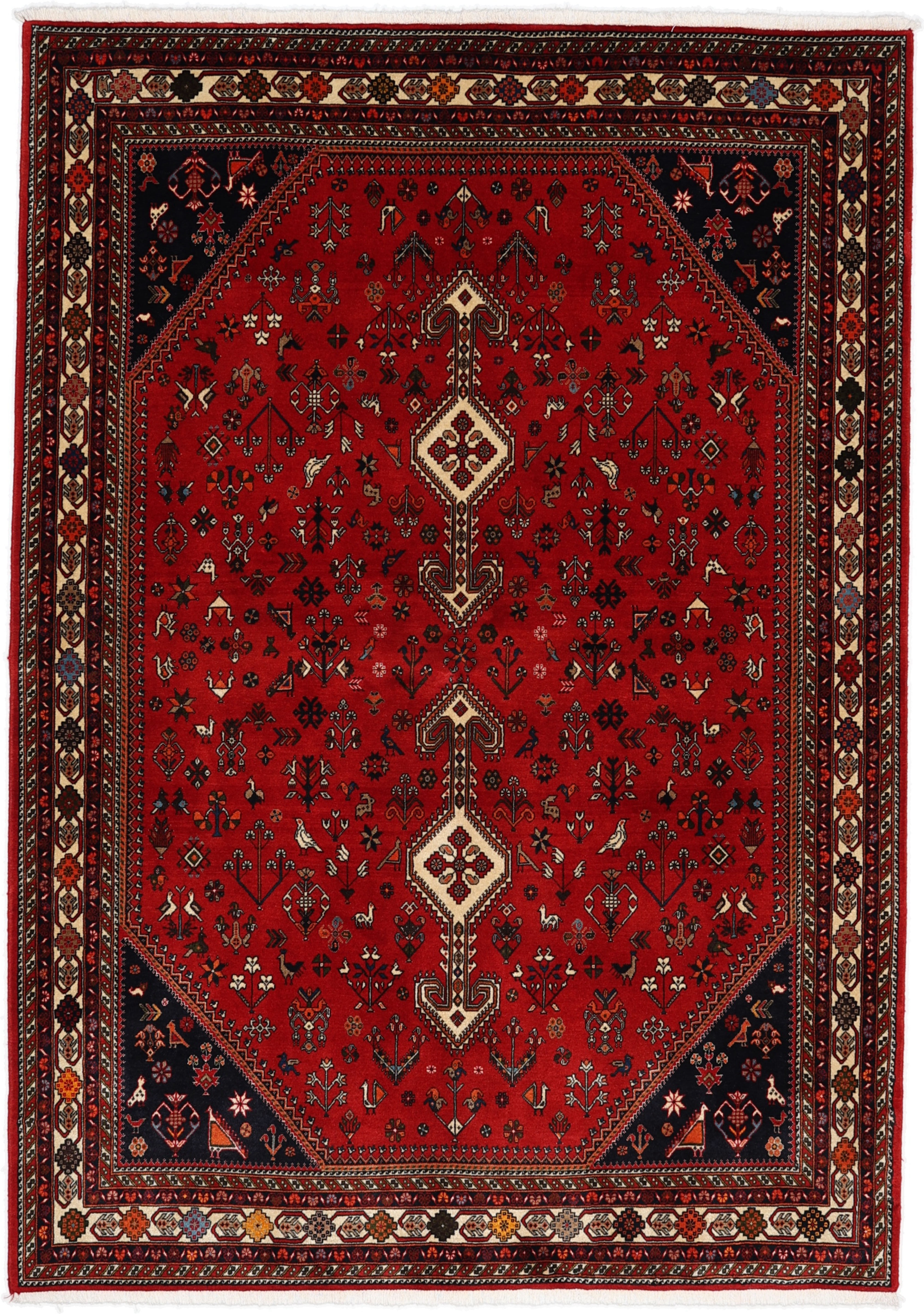 Nasrabad 170 x 245 cm