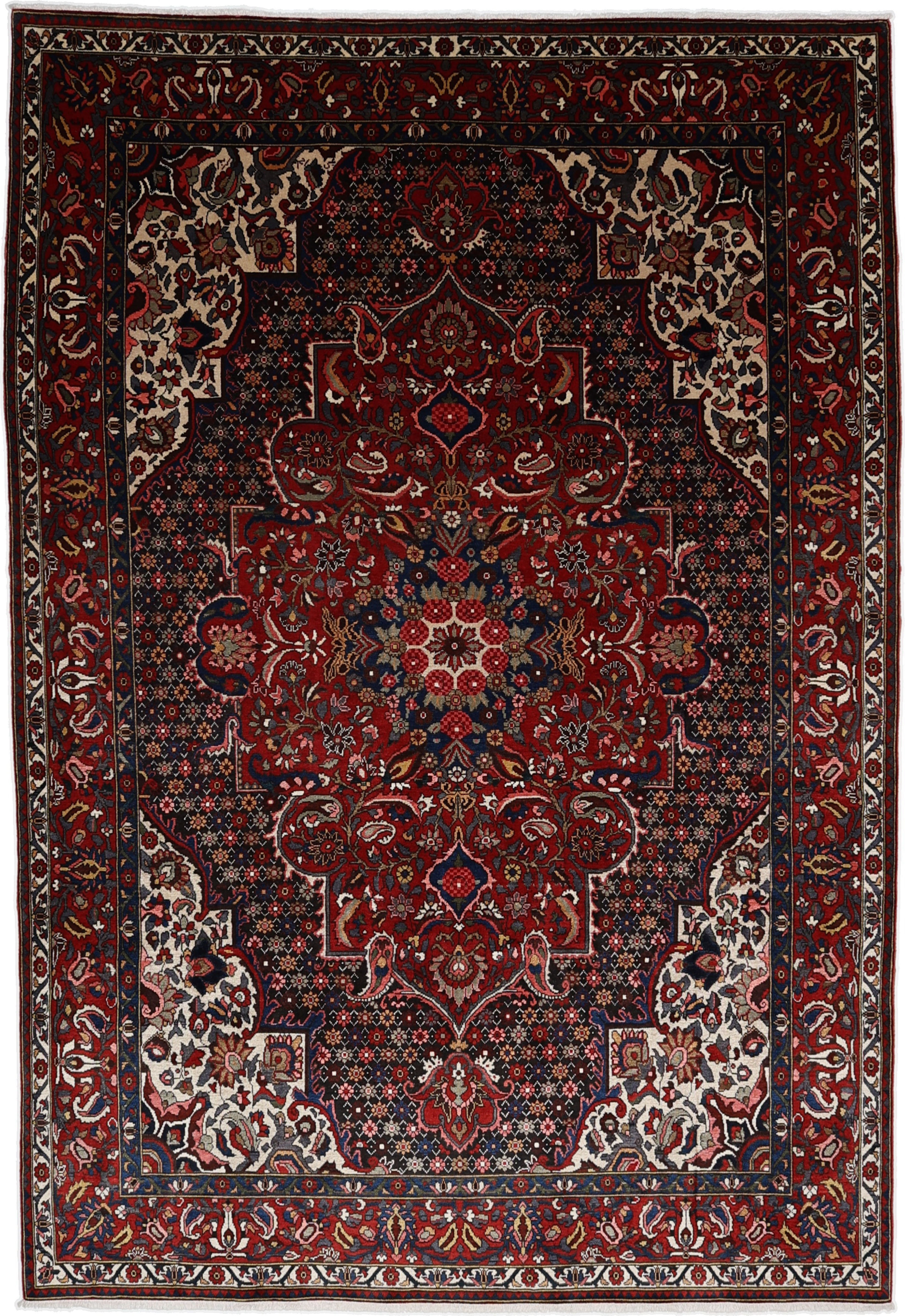 Bachtiar Teppiche - Bachtiar 216 x 316 cm