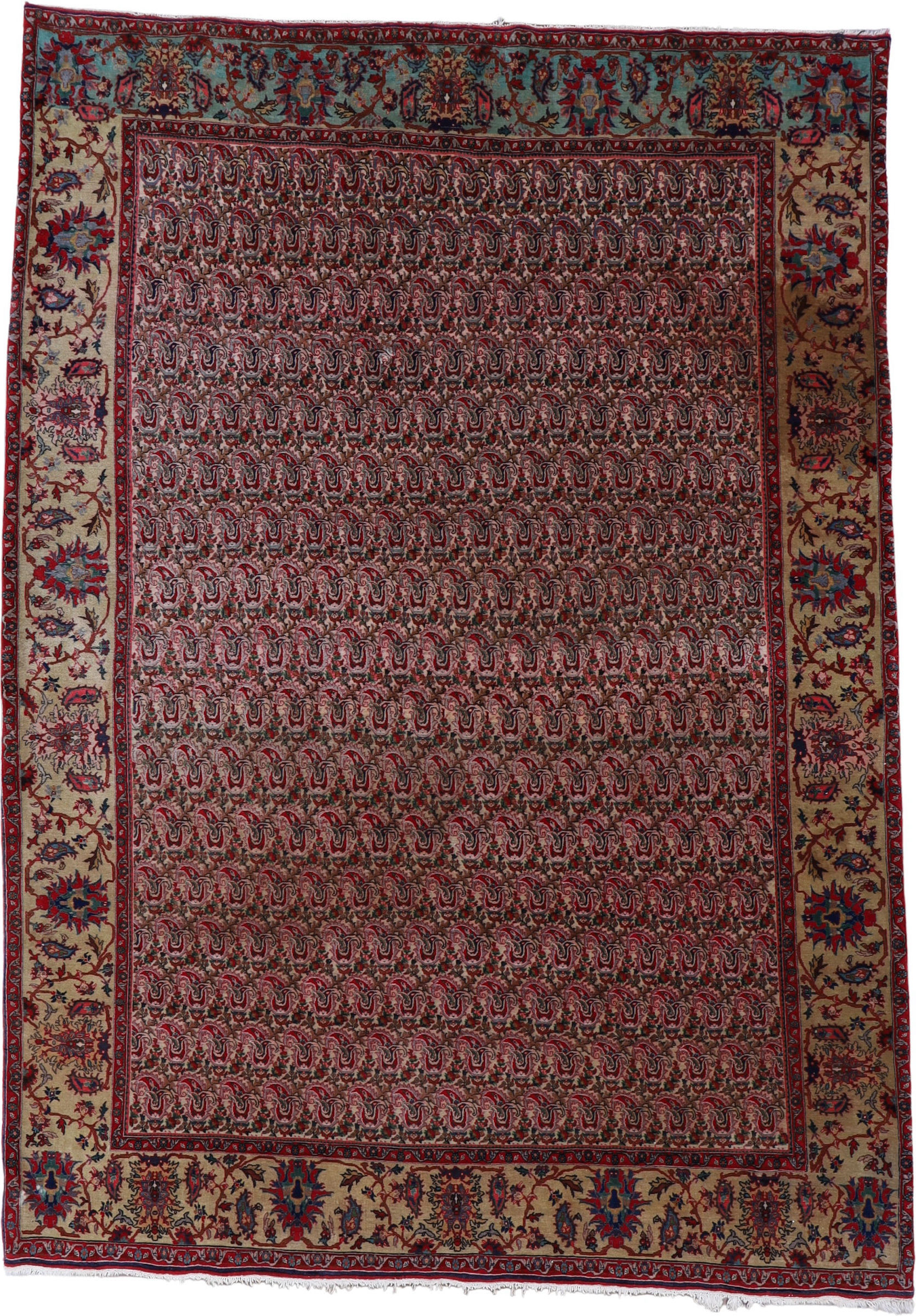 Bidjar Antik - Bidjar 223 x 313 cm