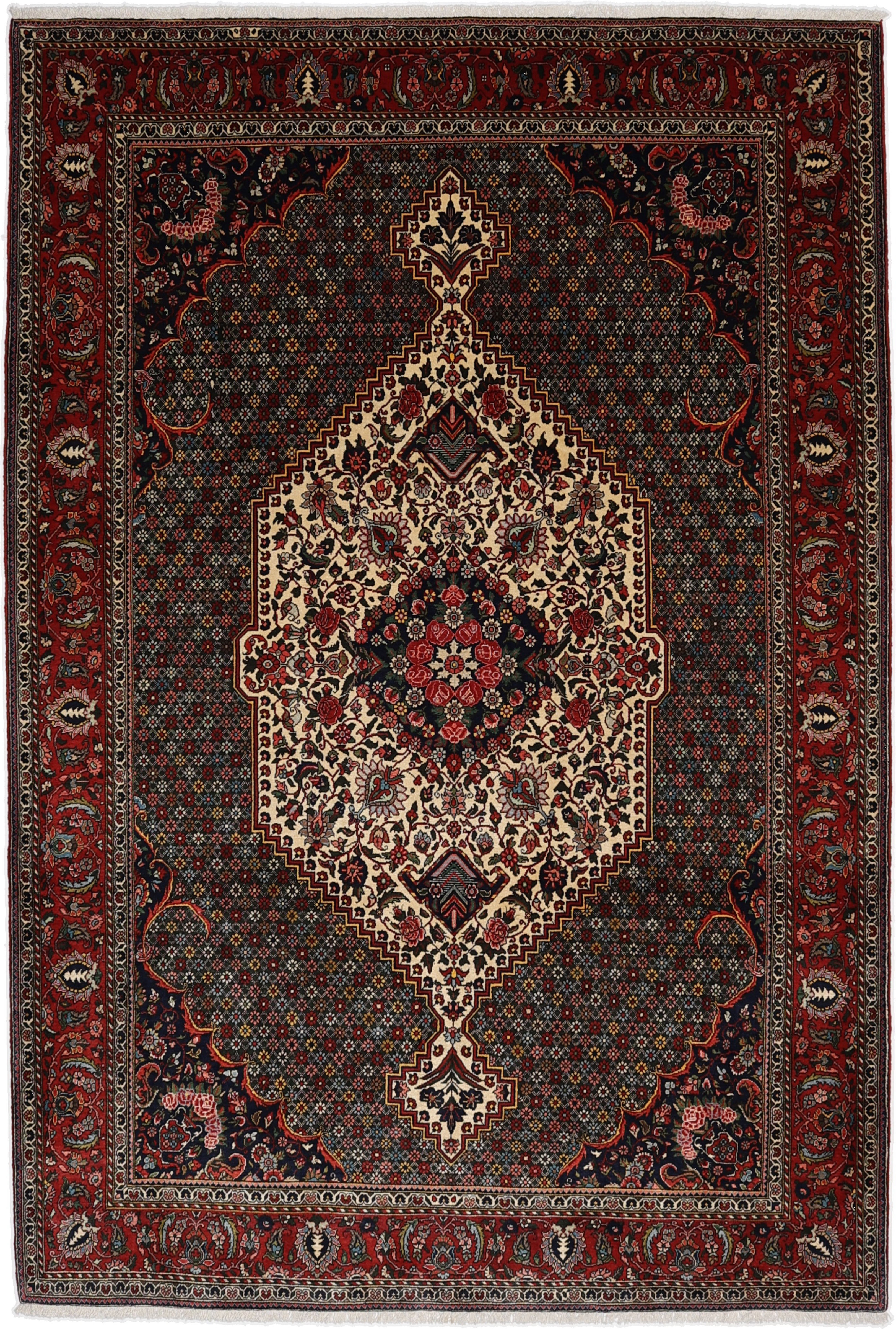 Bachtiar Teppiche - Bachtiar 210 x 310 cm