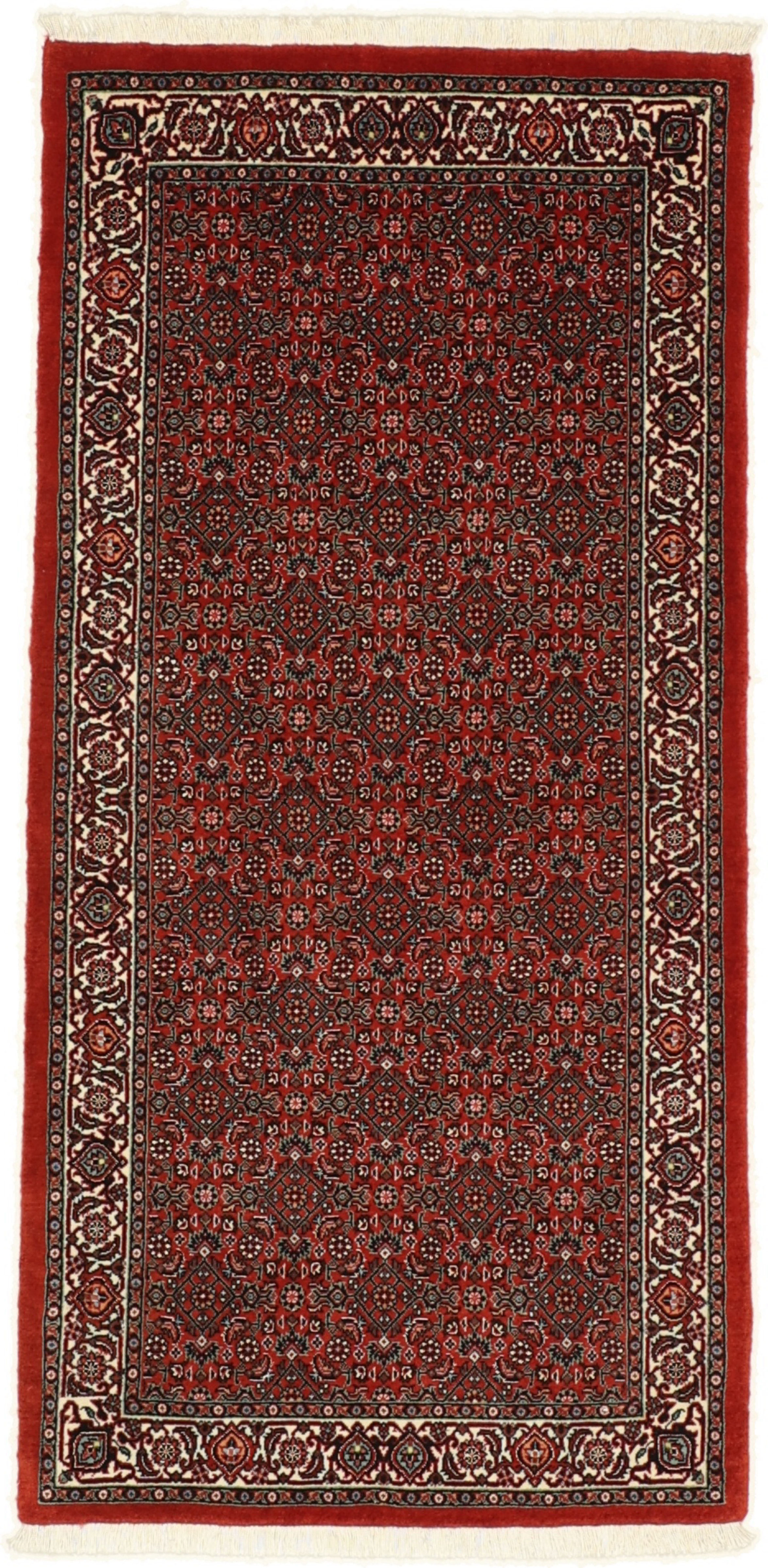 Bidjar Läufer - Bidjar 70 x 146 cm