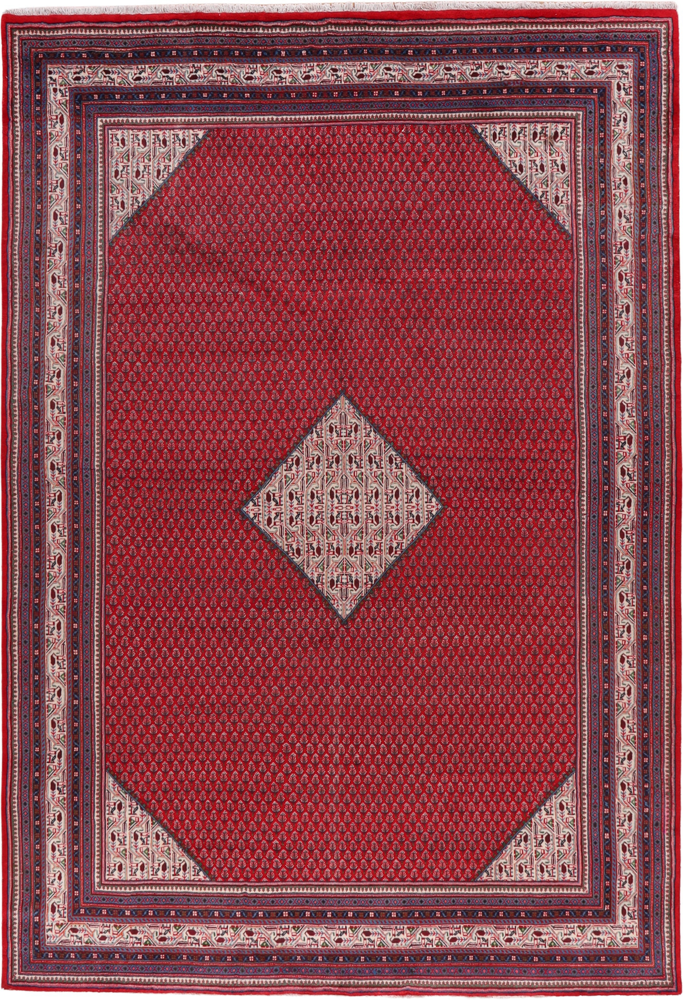 Sarouk 242 x 350 cm