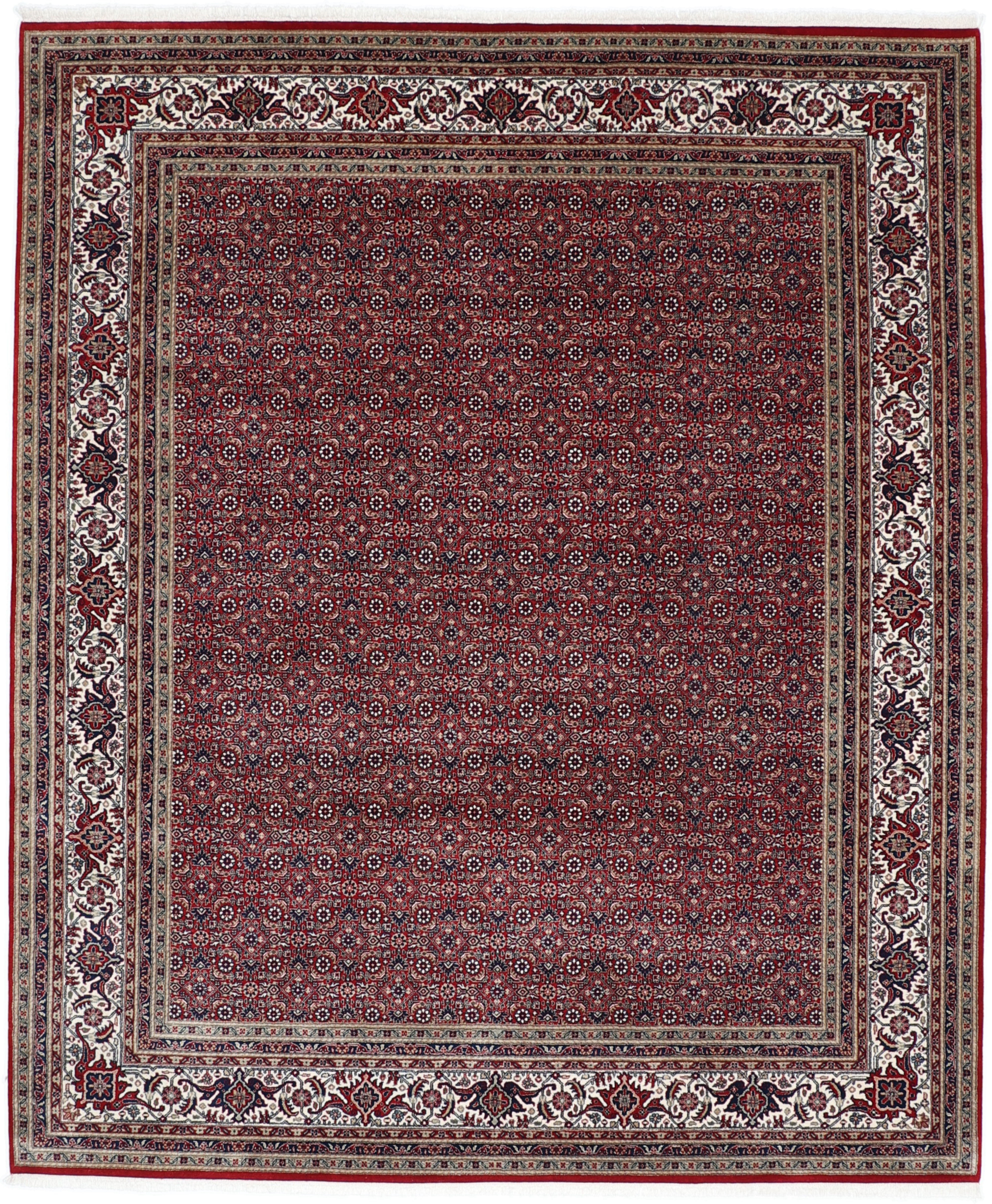 Indo Bidjar - Bidjar 253 x 300 cm