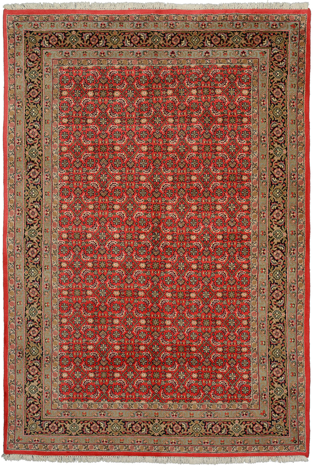 Indo Bidjar - Bidjar Herati 166 x 244 cm
