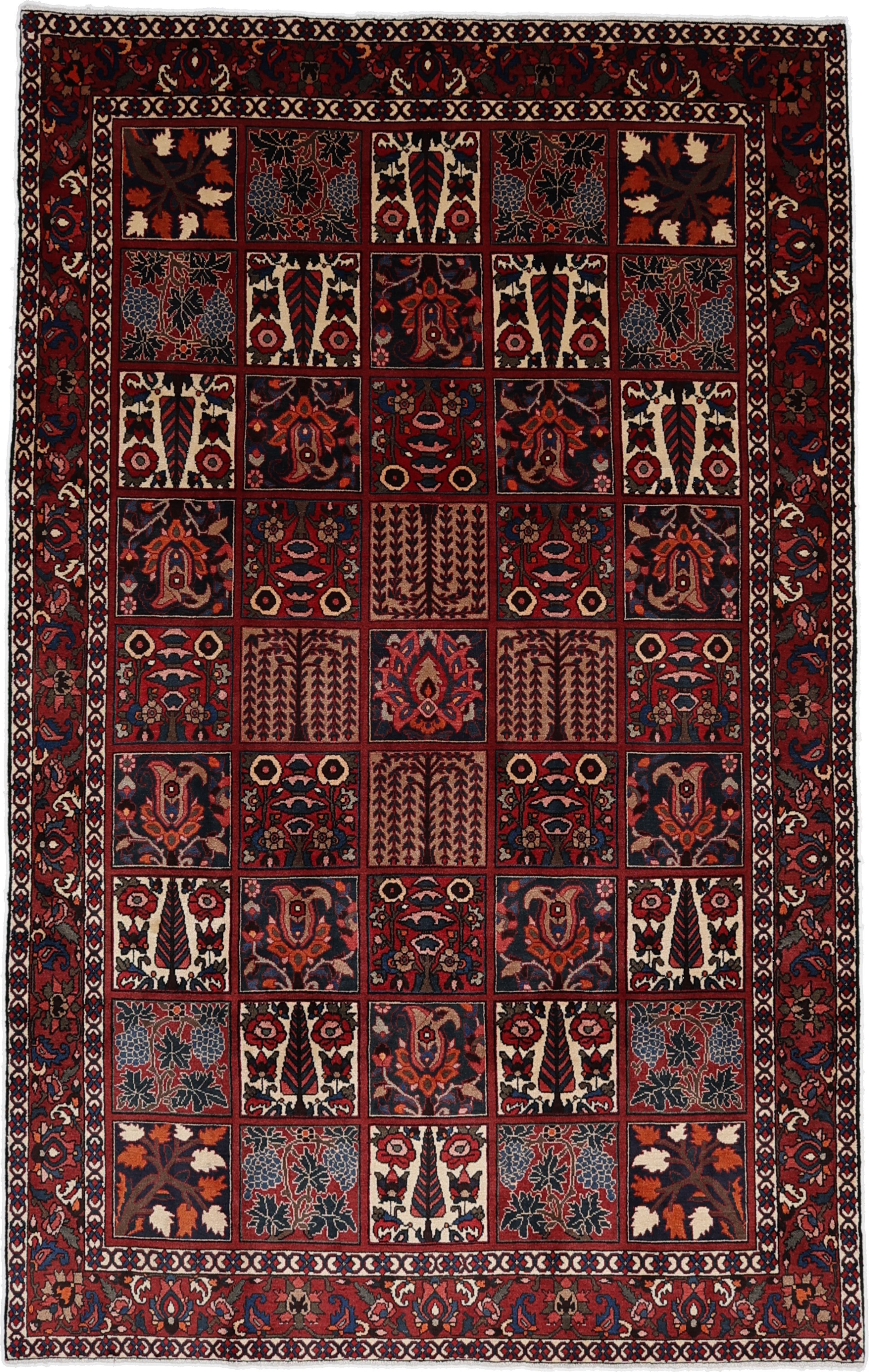 Bachtiar Teppiche - Bachtiar 197 x 315 cm