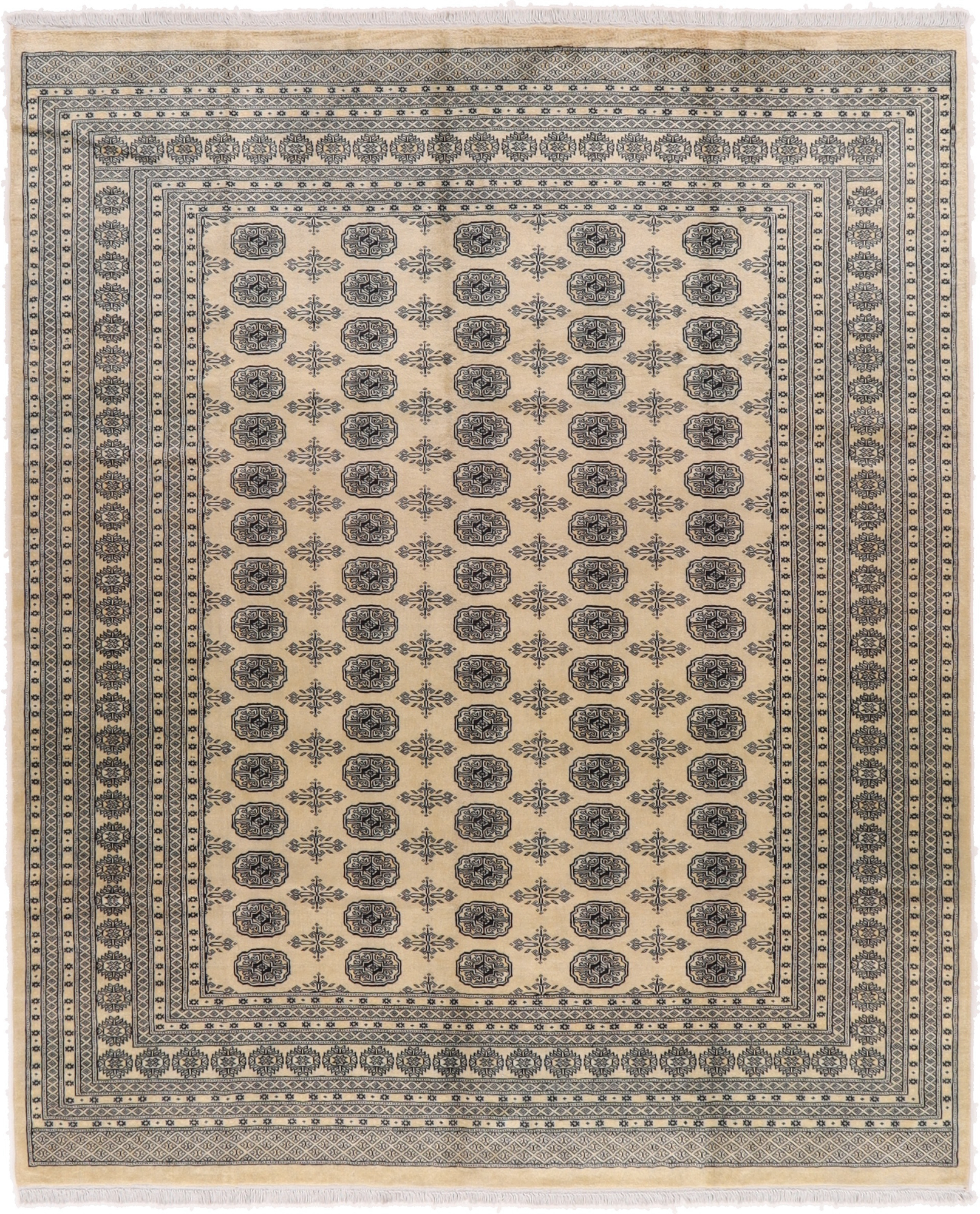 Buchara Tepper - Bokhara 251 x 298 cm